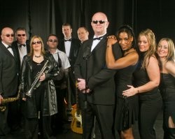 Hire Commitments Too: Live Music from Alive Network