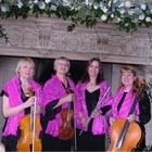 The Cornwall String Quartet, String Quartet for hire in Cornwall