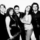 Descarga UK, Wedding Salsa Band available to hire for weddings in Dorset