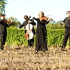 Etive Quartet, String Quartet for hire in Fife