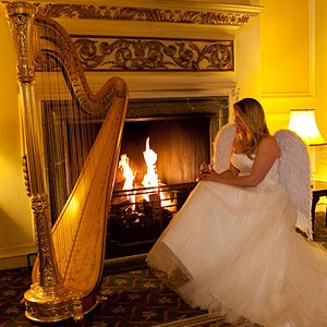 Gold Harp, Harpist