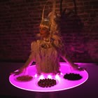 Light Up Living Tables, Wedding Street Entertainer available to hire for weddings in Northumberland