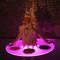 Other customers also liked Light Up Living Tables when they enquired about Patch- A Right Royal Fool