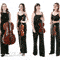 Other customers also liked London Strings when they enquired about Solar Strings