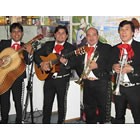 Hire Mariachi Jalisco, Mariachi Bands from Alive Network Entertainment Agency