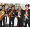 Other customers also liked Mariachi Jalisco when they've enquired about Tequila Amigos 