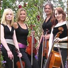 No Strings Attached, live wedding music for hire in Buckinghamshire