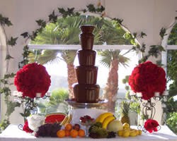 Single Luxury Chocolate Fountain, Event Supplier