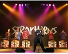 Hire Stray Horns, Swing Jive Bands from Alive Network Entertainment Agency