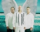 The Swans, Function Bands available to hire