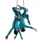 The Aerial Dance Artist, Dancer for hire in Radnor