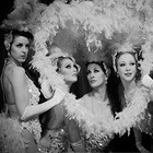 The Belle Beauties, Dancer for hire in Radnor