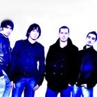 The Natives, Function Band for hire in Pembroke