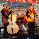 (Bill Haley) Totally Haleys Comets, Tribute Band for hire in Dumfriesshire area