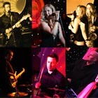 White Gold, Function Band for hire in Warwickshire
