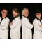 Other customers also liked (Bee Gees) The Bee Gees Experience when they enquired about Bootleg Beatles