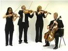 Bella Musica Party Entertainment