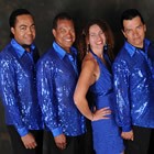 Hire CoCo Xpress, Salsa Bands from Alive Network Entertainment Agency