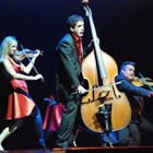 Hire Graffiti Classics, Classical Musicians from Alive Network Entertainment Agency