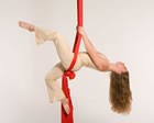 Hire Zu Aerial Dance, Circus Performers from Alive Network Entertainment Agency