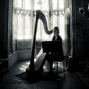 M F Harp (Harpist), Harpist