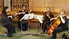 Occasions String Quartet  Live Music to hire for a Wedding Ceremony