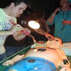 Giant Games available to hire from Alive Network Entertainment Agency