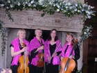Pink Champagne  Live Music to hire for a Wedding Ceremony
