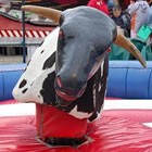 Rodeo Rides available to hire from Alive Network Entertainment Agency