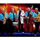 Hire The Starlites, Swing Jive Bands from Alive Network Entertainment Agency