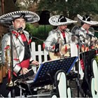 Hire Tequila Amigos , Mariachi Bands from Alive Network Entertainment Agency