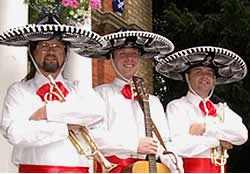Hire Tequila Amigos : Live Music from Alive Network
