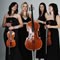 Other customers also liked The Vixen String Quartet when they enquired about Blond