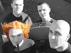 Wild Clover, Ceilidh / Irish Band