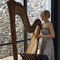 Click for a bigger image of Amour Harp