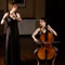 Click for a bigger image of Amici Consort