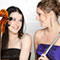 Click for a bigger image of Amici Consort