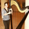 Click for a bigger image of Branka Crowder (harpist)