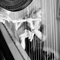 Click for a bigger image of Harmony Duo