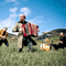 Click for a bigger image of Arran Maiden