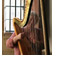 Click for a bigger image of E Y Harp (Harpist)