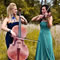 Click for a bigger image of Fusion Strings