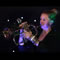 Click for a bigger image of Groove Inc