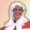 Click for a bigger image of Christmas Entertainers