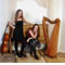 Click for a bigger image of Jennifer Brown (Harpist)