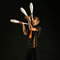 Click for a bigger image of Jon Udry (Juggler)