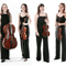 Click for a bigger image of London Strings