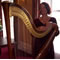 Click for a bigger image of M F Harp (Harpist)