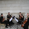 Click for a bigger image of Palatine String Quartet