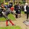 Click for a bigger image of Patch- A Right Royal Fool
